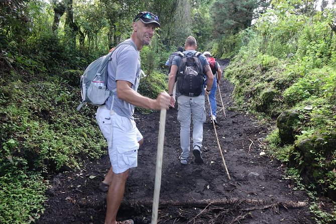 Pacaya Volcano Sunset Tour From Antigua - Booking Information and Requirements