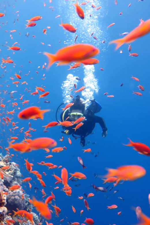 PADI Advanced Open Water Course - Transportation and Locations