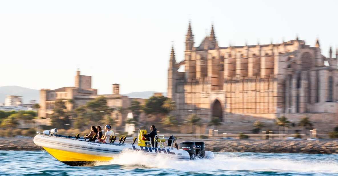 Palma Bay: Speedboat Discovery Tour - Customer Reviews and Feedback