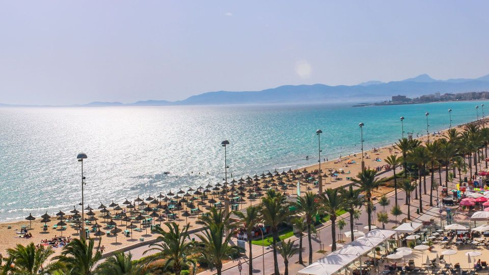 Palma De Mallorca: Palma and Playa De Palma - Experience Highlights