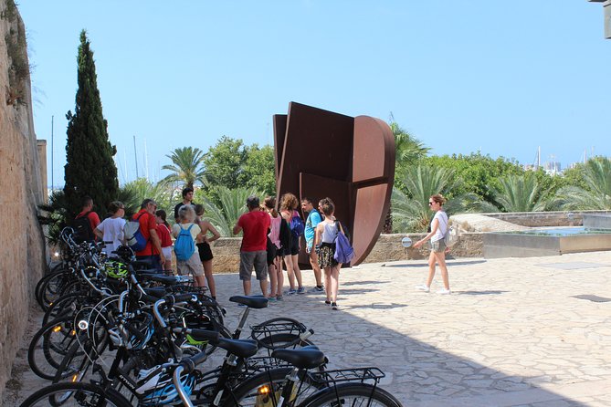 Palma De Mallorca Shore Excursion Bike Tour (Transfer Included) - Accessibility and Participation