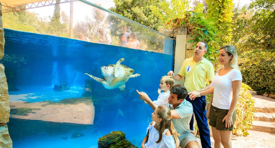 Palma: Palma Aquarium Ticket With Transfer Service - Interactive Experiences