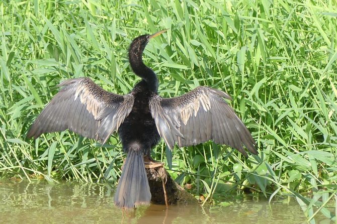 Palo Verde Jungle Boat Tour, Guaitil Pottery & Lunch - Pricing and Inclusions