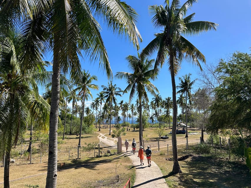 Pamilacan Island: Dolphins, Snorkel, Lunch and Walking Tour - Cultural and Historical Insights