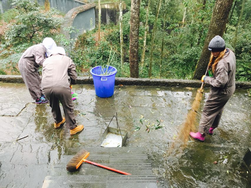 Panda Volunteer Project Day Trip(Wolong/Du Jiang Yan) - Participant Suitability and Restrictions