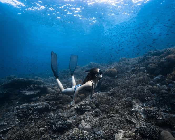 Panglao Bohol: Beginner Freediving Course (w/ Bonus Session) - Rental Equipment Provided