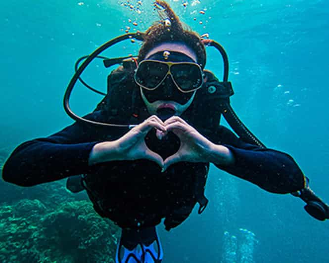 Panglao Bohol: Try Scuba Diving at Napaling and Sardines - Suitable for All Skill Levels