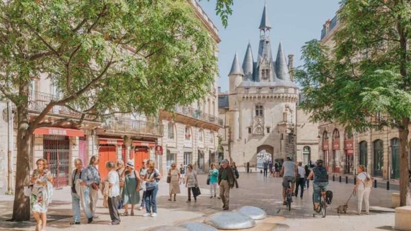 Panoramic Bordeaux Tour in a Premium Vehicule With a Guide - Learning About Bordeaux