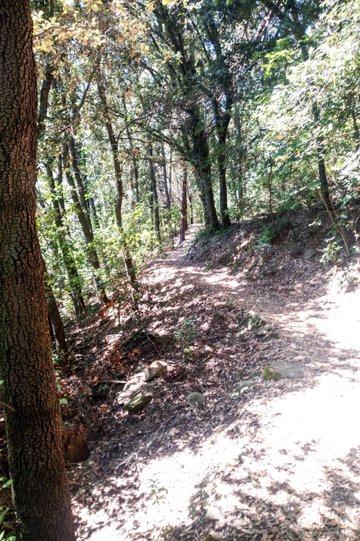 Panoramic Hiking in the Florentine Hills - Health and Safety Information
