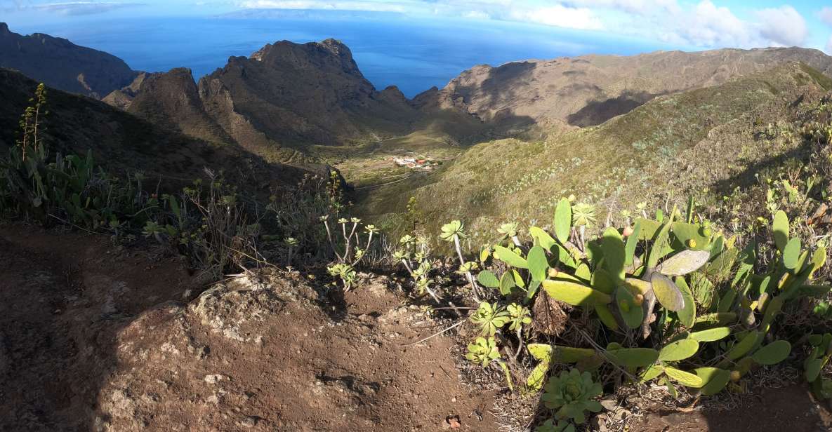 Panoramic Route: Altos De Masca - Flora and Fauna