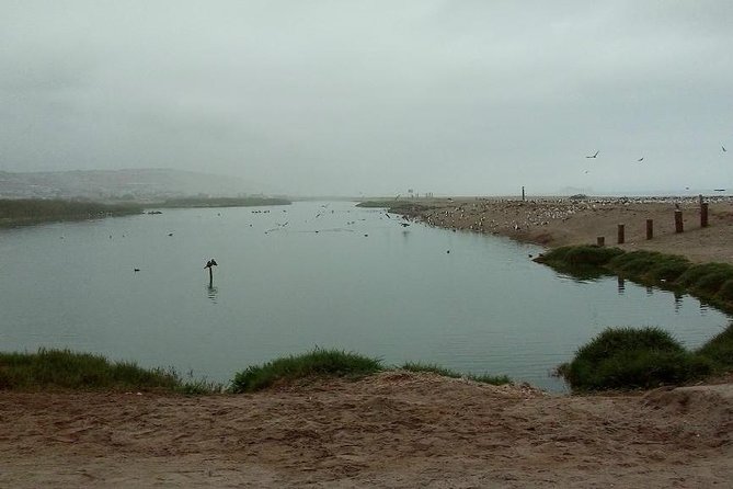 Pantanos De Villa Wildlife Refuge Tour in Lima - Group Size and Accessibility