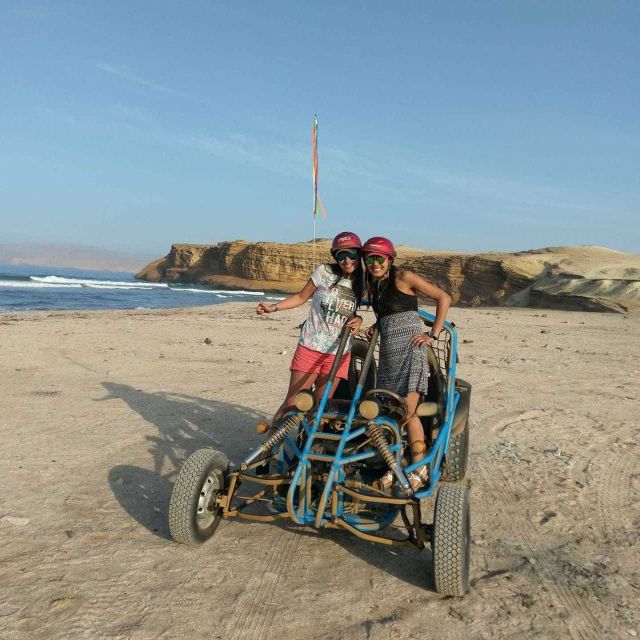 Paracas: Mini Buggy Ride in Paracas National Reserve - Highlights of Paracas National Reserve