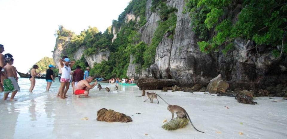 Phi Phi Island: Half- Day Long - Tail Boat Tour - Cancellation Policy and Languages