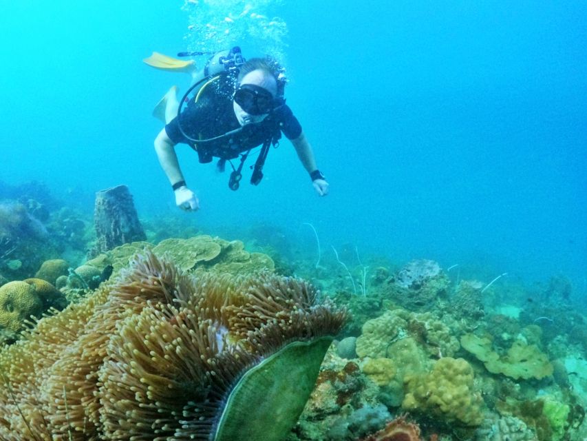 Phu Quoc: Scuba Diving Experience for All Levels - Inclusions and Costs