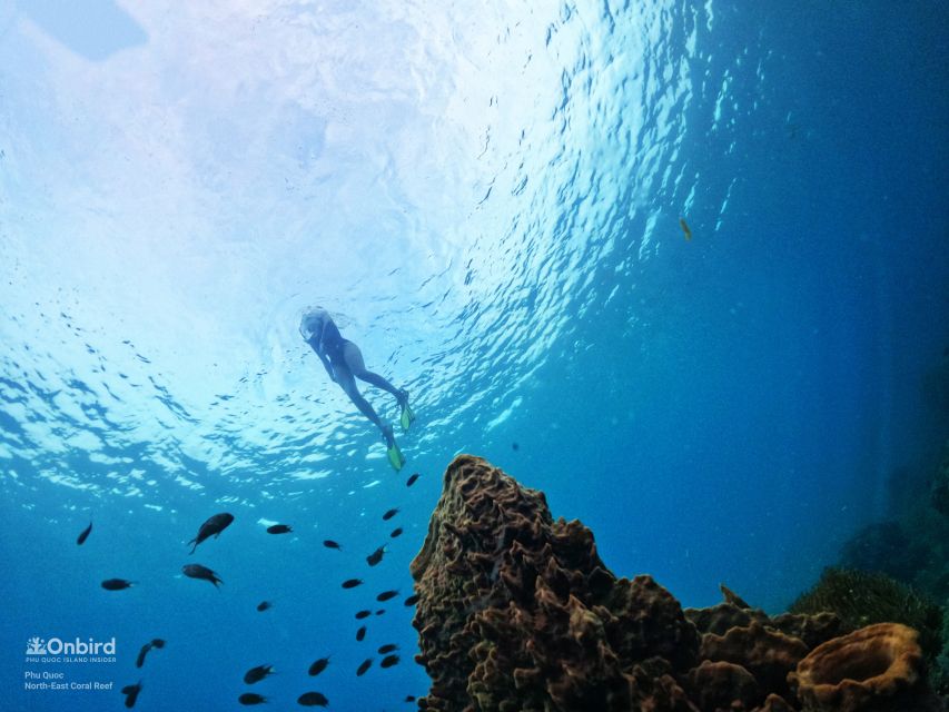 Phu Quoc: Small-Group Pro Snorkeling Tour by Speedboat - Environmental Protection Efforts