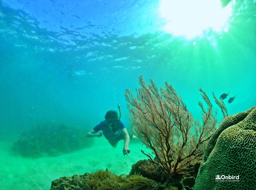 Phu Quoc Small-group Snorkeling to the Coral Jungle Reef - Inclusions and Exclusions