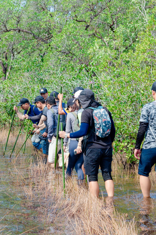 Phu Quoc Trekking and SUP on Rach Tram River - Important Information