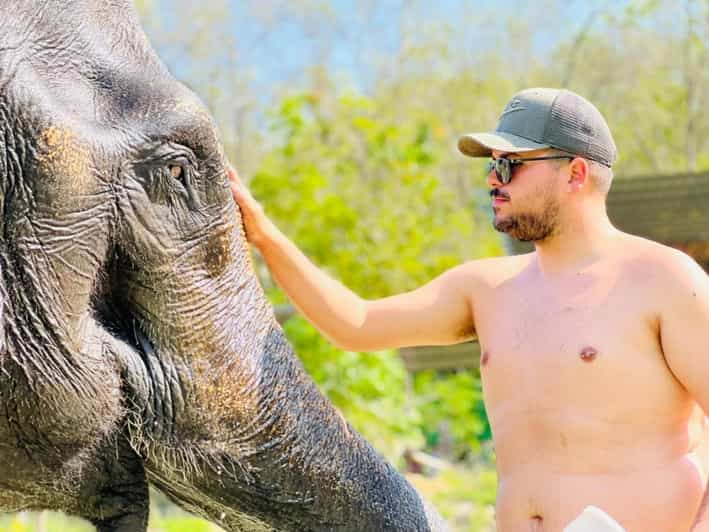 Phuket: Feeding Elephants at Phuket Elephant Care - Inclusions and Amenities