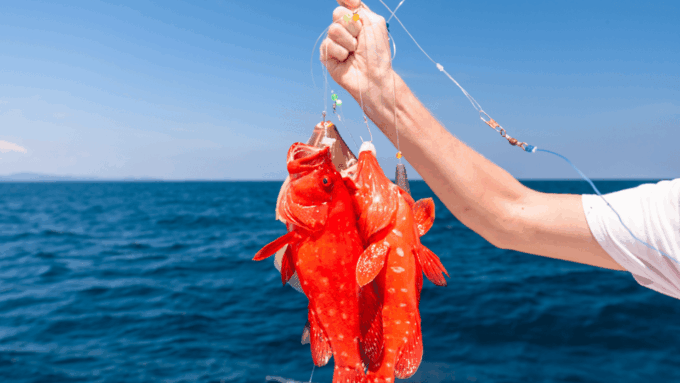 Phuket: Full-Day Fishing and Trolling Tour - Highlights of the Tour