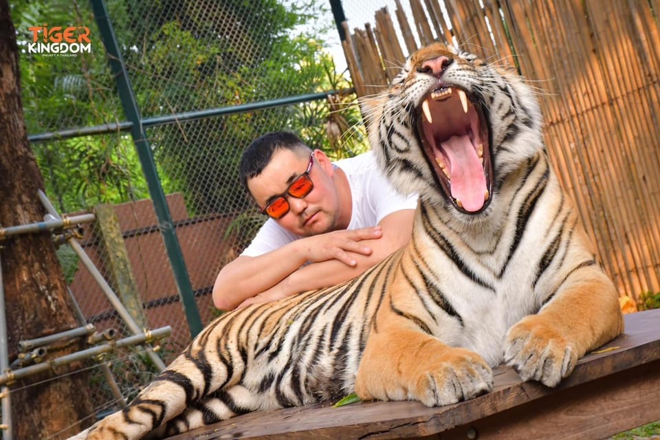 Phuket One Day Trip - Transportation and Accessibility