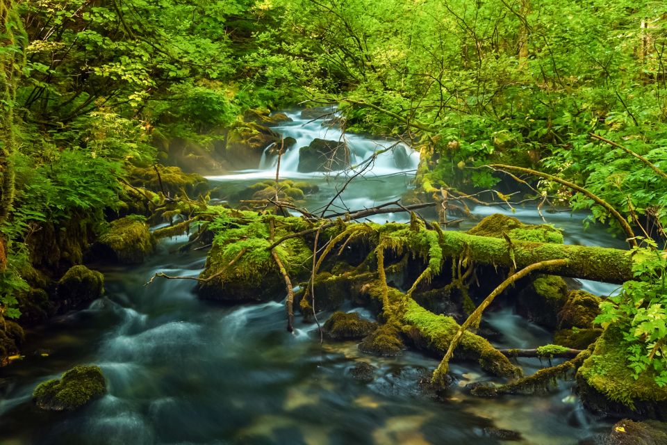 Plitvice Lakes: Guided Walking Tour and Boat Ride - Customer Reviews and Ratings