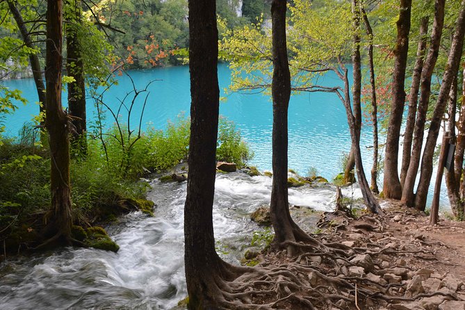 Plitvice Lakes National Park Tour From Zadar - Group Size
