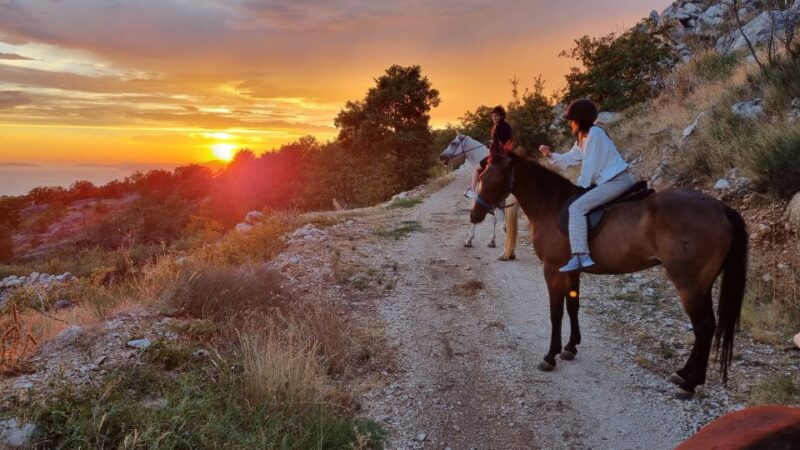 Podstrana: Guided Horseback Riding Experience - Customer Ratings and Feedback