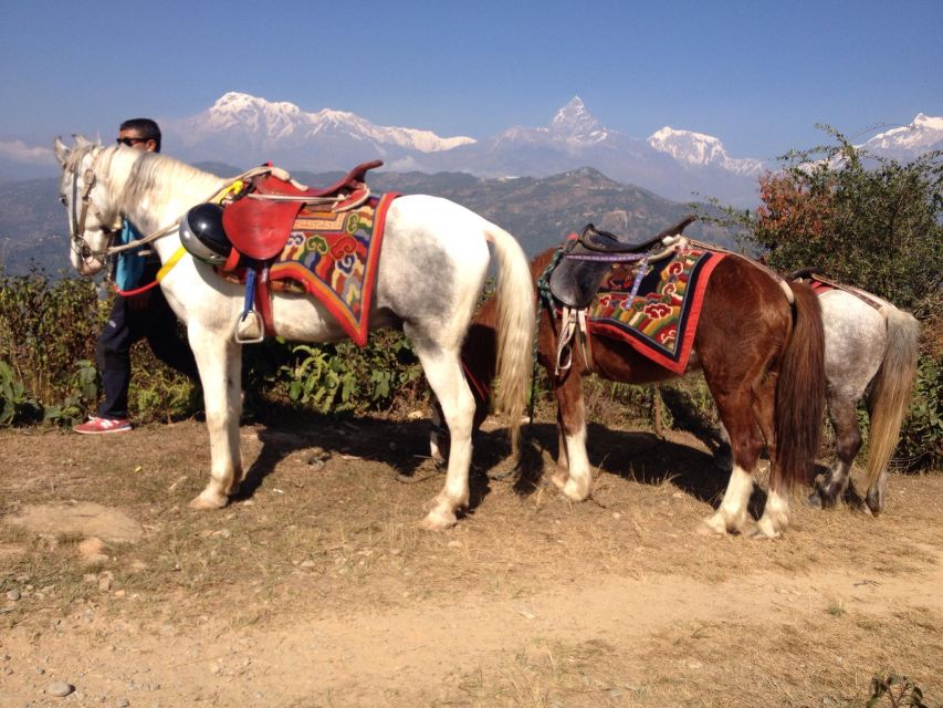 Pokhara: 2.5-Hour Horse-Pony Ride in Nature - Tips for a Great Experience