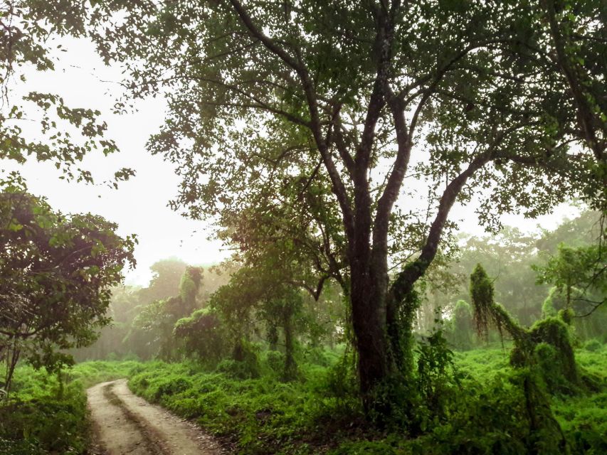 Pokhara: 3-Day Culture Wildlife and Jungle Safari Experience - Wildlife Adventures