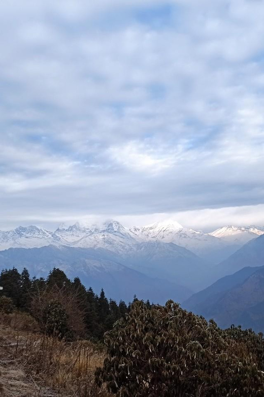 Pokhara: 4 Days Poon Hill Trek - Detailed Daily Itinerary