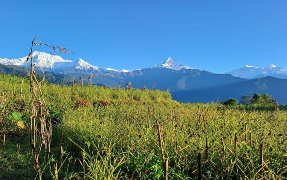 Pokhara : 5-Day Private Trek to Poon Hill & Ghorepani - Inclusions