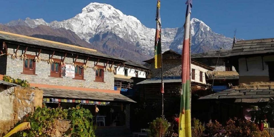 Pokhara: 8-Day Unforgettable Annapurna Base Camp Trek Tour - Accommodation Options