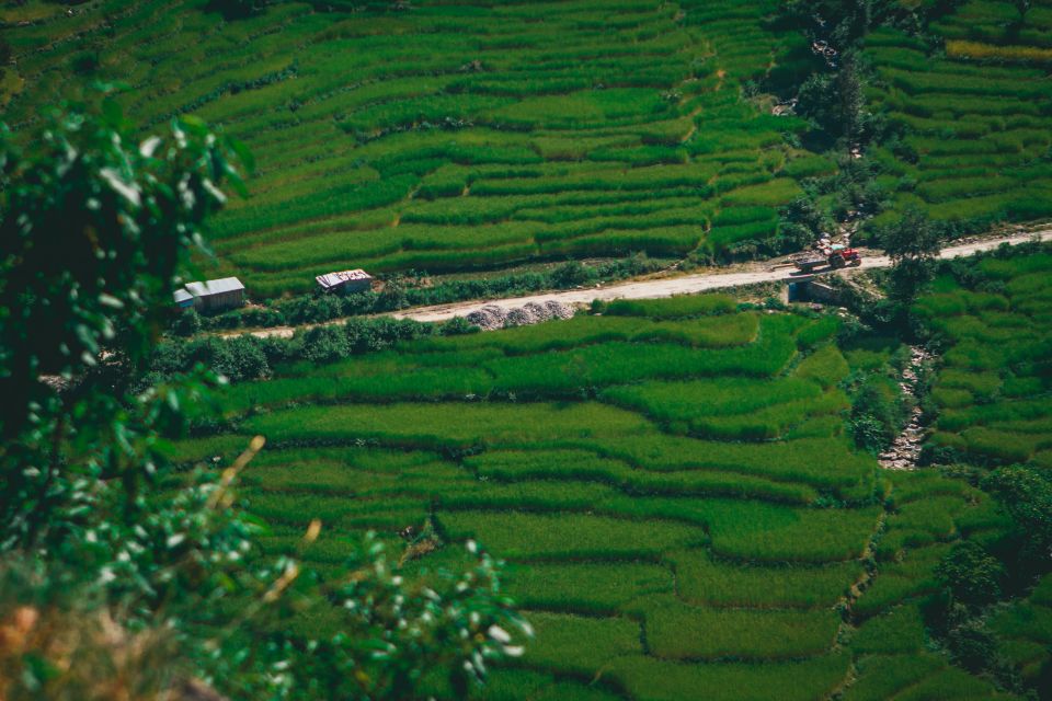 Pokhara: Suspension Bridge Private Tour- 30 Min Village Walk - Customer Feedback