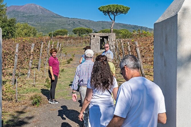 Pompeii Vesuvius Day Tour From Naples With Italian Lunch and Wine - Customer Reviews