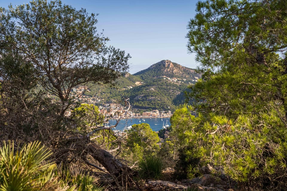 Port Andratx: Hiking Tour Into the Sunset to Sant Elm - Participant Information and Restrictions