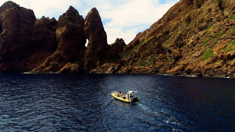 Porto: Scandola Nature Reserve, Gulf of Girolata Boat Tour - Customer Feedback