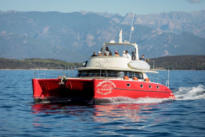 Porto-Vecchio: Catamaran Cruise - Lavezzi Islands - Onboard Experience