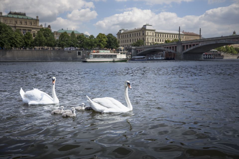 Prague: 3–Hour Castle Grounds Walking Tour and River Cruise - Meeting Point and Important Information