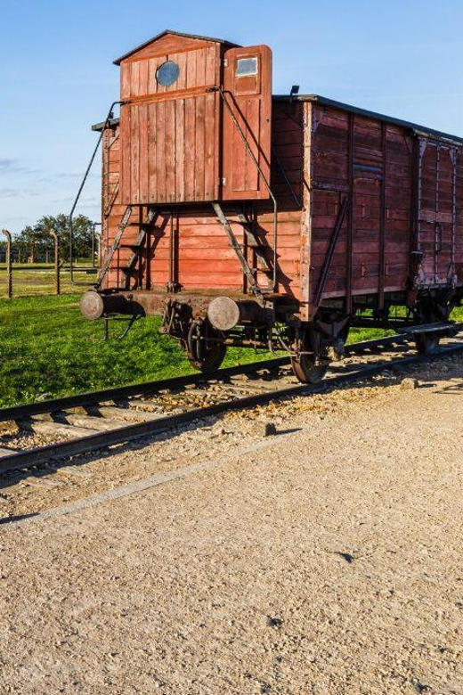 Prague: Tour to Auschwitz Birkenau - Inclusions and Amenities