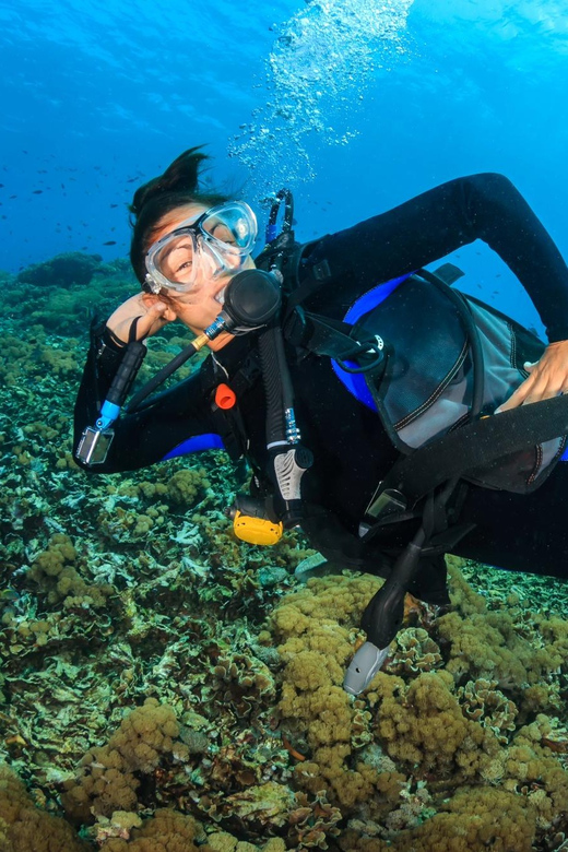 Premium PADI Advanced Open Water Course - Prerequisites and Minimum Age