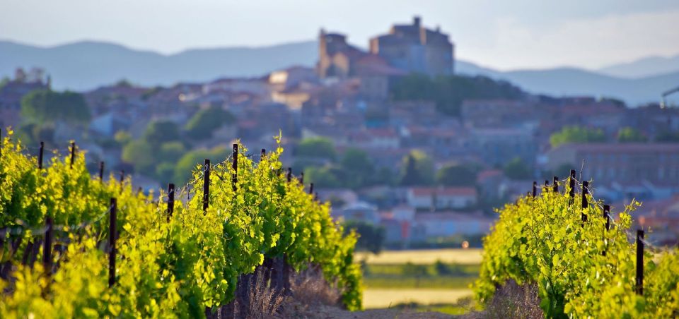 Premium Wine Tour of Rioja With Gourmet Lunch (From Bilbao) - Gourmet Lunch Offerings