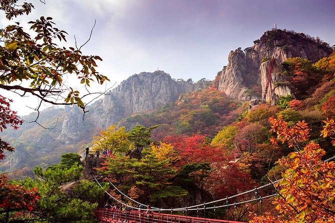 (Private) 9-Days Tasty Journey Around South Korea Tour - Natural Attractions