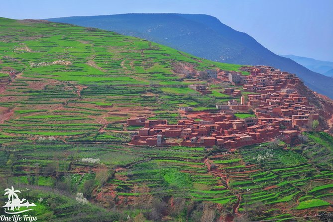 Private Atlas Mountains Day Trip - Traveler Experiences and Feedback