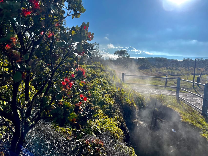 Private Big Island Tour:Coffee, Beaches,Volcanos & Waterfall - Participant Information