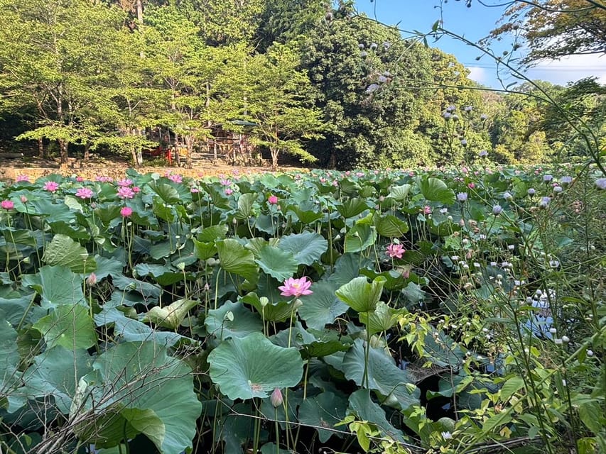 (Private) Cyclingtour in Arashiyama: EBIKE Tour With Guide - Cycling Experience and Equipment