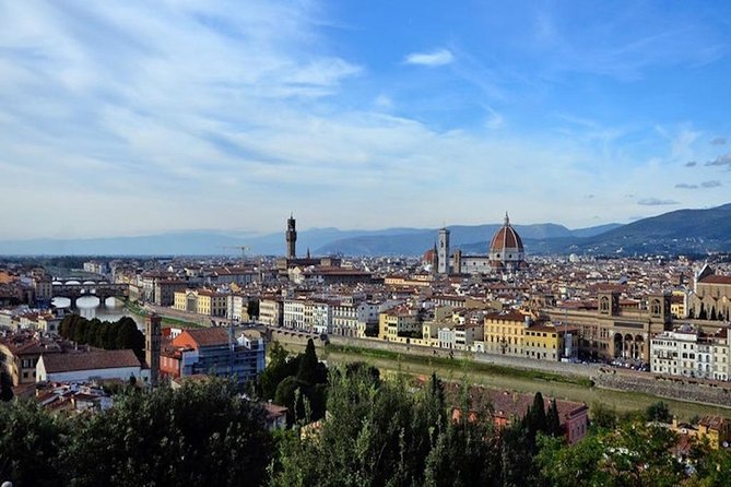 Private Day Trip From Livorno Port to Florence and Pisa - Customer Reviews