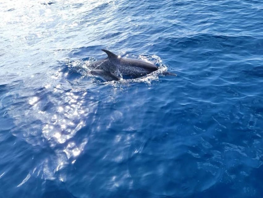 Private Dolphin Watch Boat Tour Port Aransas Texas - What to Bring on Board