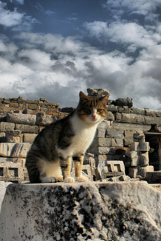 Private Ephesus,Şirince,Virgin Marry House Tour - Inclusions and Services