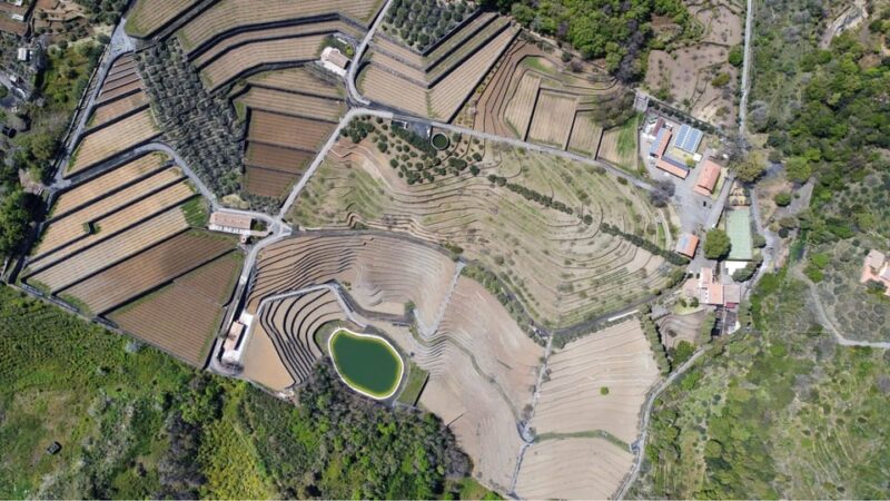 Private Etna Panoramic Tour+Wine Tasting & Food Combination - Activities and Experiences