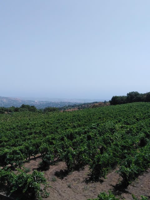 Private Etna Wine Tour - Inclusions and Exclusions